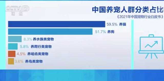 我國一人戶家庭超1.25億戶養(yǎng)貓人群超過養(yǎng)狗人群