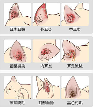 企業(yè)微信截圖_16909541509590.png